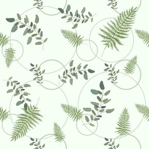 Eucalyptus And Fern Pattern On Soft Green