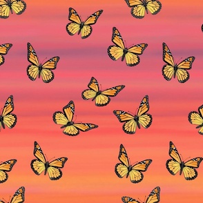 monarch butterflies at sunset
