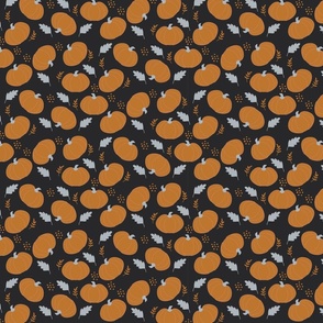 Pumpkins-Leaves-Seeds-Orange-Blue-Black-Small-4