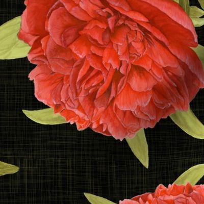 Watercolour Vintage Peony on Black - Large Scale
