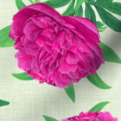 Non-directional Watercolour Pink Peony on Ivory - Medium Scale