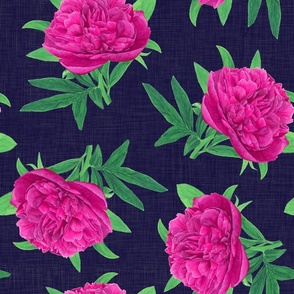 Non-directional  Watercolour Pink Peony on Midnight Blue - Medium Scale