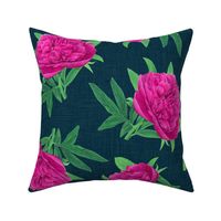 Non-directional  Watercolour Pink Peony on Navy - Medium Scale