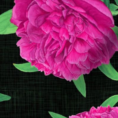 Non-directional Watercolour Pink Peony on Charcoal - Large