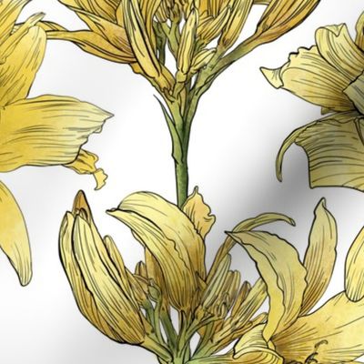 Graphic daylily flower