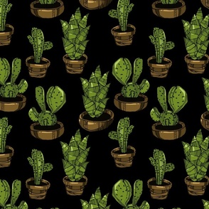 Succulent cactus doodle house plant