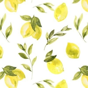 Watercolor rustic lemons on white