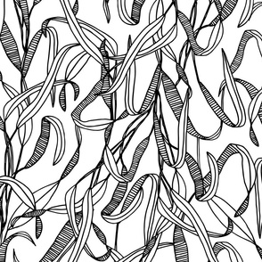 Simple Black and White Lined Leaves