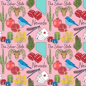 small nevada items on pink
