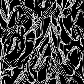 White on Black Graphic Linear Leaves