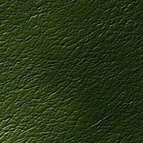 Dark Olive Green Leather Texture