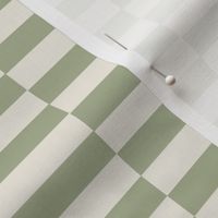 check - creamy white _ light sage green - simple geometric