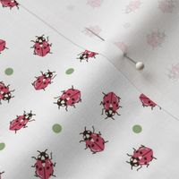 Ladybug Polka Dots on White