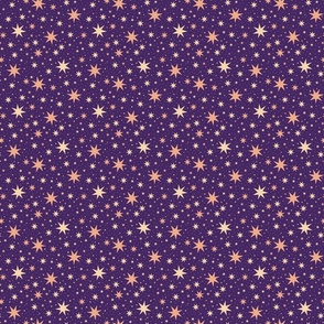Victorian Starry Celestial Ceiling Purple| Magic Wizard Fantasy Sky Space Stars Tossed - Small Scale