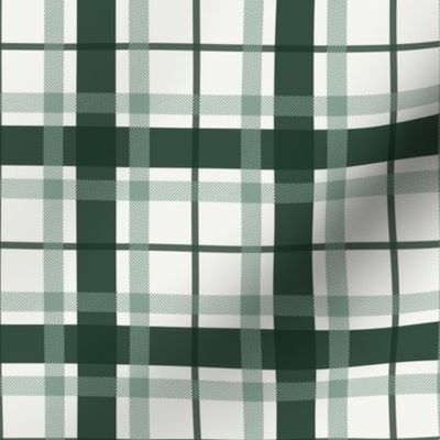 (L) Christmas Tartan in green Large scale