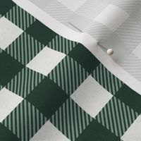 (M) xmas check in green and white Medium scale 