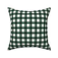 (M) xmas check in green and white Medium scale 