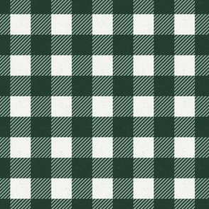 (M) xmas check in green and white Medium scale 