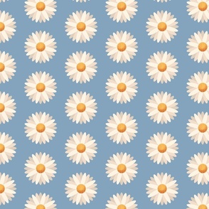 Daisies flower heads on a blue