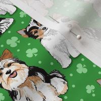 Biewer terriers on green with clovers 6 inch 