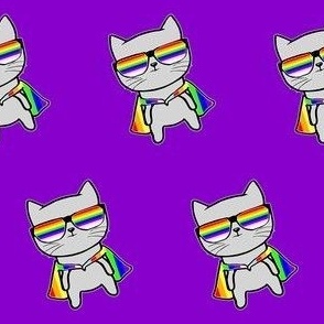 Rainbow Cat - Ally Cat 