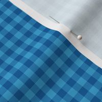 blue and bright blue 1/4" gingham squares