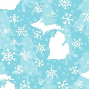 Michigan Winter