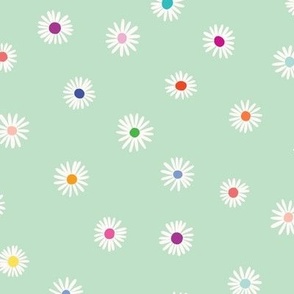 Colorful Chamomile Flowers in Pastel Green and Multicolor Rainbow
