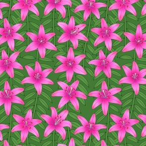 asiatic lilies in pink on green