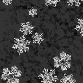 Snowflake Textured Blender (Large) - White on Black  (TBS204) 