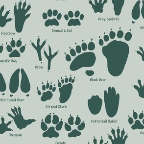 Medium Scale - Animal Tracks in Light and Dark Teal for Kids Room