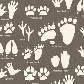 Medium Scale - Animal Tracks in Earth Brown for Kids Room