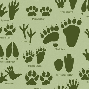 Medium Scale - Animal Tracks in Forest Green for Kids Room