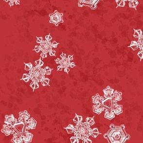 Snowflake Textured Blender (Large) - Bright Poppy Red   (TBS204) 