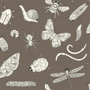 Medium Scale - Minibeasts in Earth Brown for Kids Room 