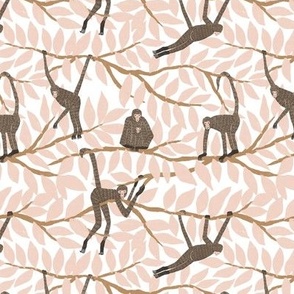 small - spider monkeys - white and pink