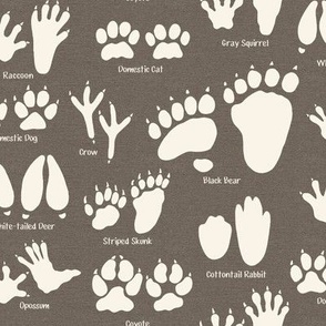 Small Scale - Animal Tracks in Earth Brown for Kids Room