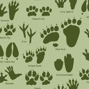 Small Scale - Animal Tracks in Forest Green for Kids Room