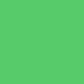 Preppy Green Solid Color