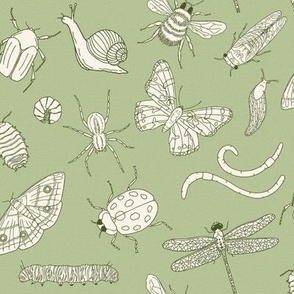 Small Scale - Minibeasts in Soft Spring Green for Kids Room 