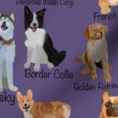 Dogs breeds with name purple