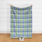 Multi-Color Plaid Blue and Green