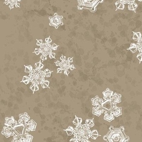 Snowflake Textured Blender (Large) - White on Mushroom  (TBS204) 