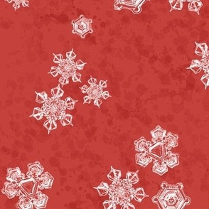 Snowflake Textured Blender (Large) - White on Poppy Red  (TBS204) 