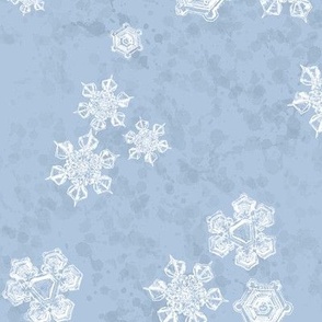 Snowflake Textured Blender (Large) -  White on Sky Blue  (TBS204) 