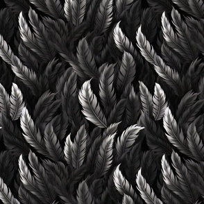 Black and White Feathers