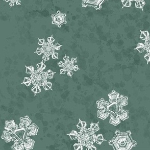 Snowflake Textured Blender (Large) - White on Pine Green  (TBS204) 