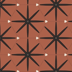 Rustic mosaic hexagon star - brick