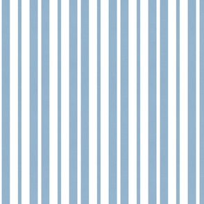French Country Stripes in Blue