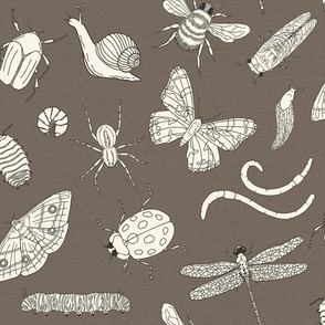 Large Scale - Minibeasts in Earth Brown for Kids Room 
